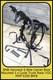 BNB Aerorack S Bike Carrier Boot Mounted 3 x Cycle Trunk Rack VGC RRP &pound;200 BN'B