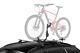 Green Valley Fast Rider Cycle Carrier Roof Rack Cross Bar Mounted E Bikes -20kg