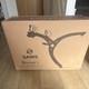 Saris Bones 2 Bike Rear Carrier Cycle Rack Travel Car Boot Holder